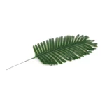 Single Green Palm Leaf