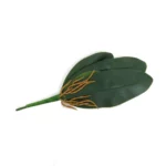 Set Of 5 Orchid Leaves