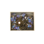 Bear Holding Backpack Wooden Motif