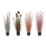 Pompon Grass With Pot