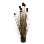 Pompon Grass With Pot - Image 6