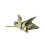 Artificial Green & Pink Algaonema Branch