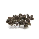 Long Pine Cone Bunch - Natural Decoration