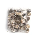 Snowy Pine Cones - Natural Christmas Decorations