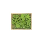 Full & Empty Bird Wooden Motif