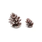 Snowy Pine Cone - Winter Decoration