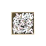 Blue & Pink Love Birds Wooden Motif