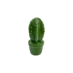Dark Green Cactus Decorative