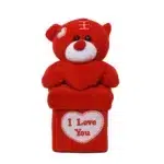 "I Love You" Heart Shape Box Sitting Bear Plush