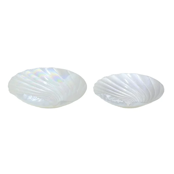 Spiral Seashell Decorative Plate - Image 1