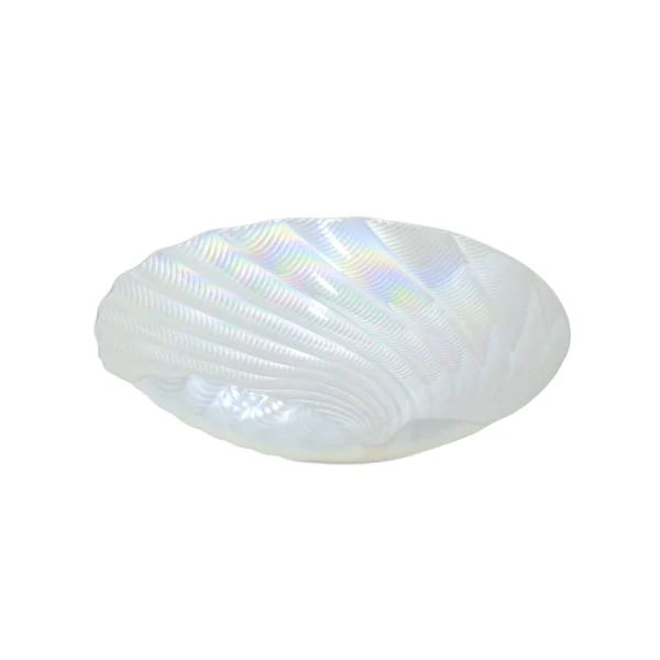 Spiral Seashell Decorative Plate - Image 2