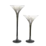 Faded Tall Wide Glass Cup