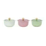 Ceramic Pot With Clear Lid