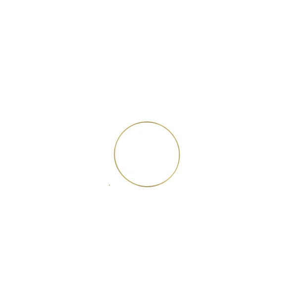 Round Metal Ring - Image 2
