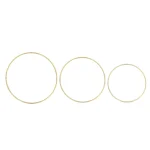 Circle Metal Frame Decorative - Image 2