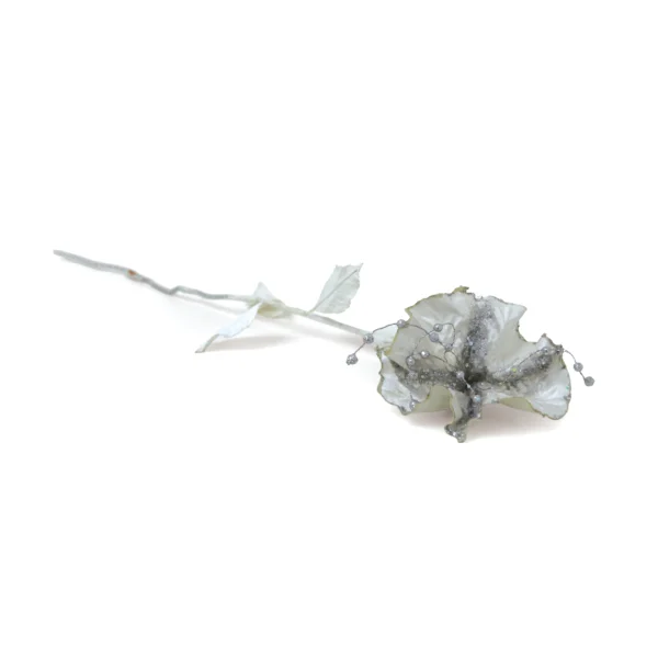 Dried Hibiscus Stem - Image 3