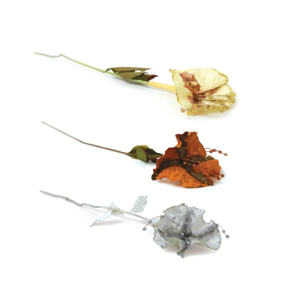Dried Hibiscus Stem