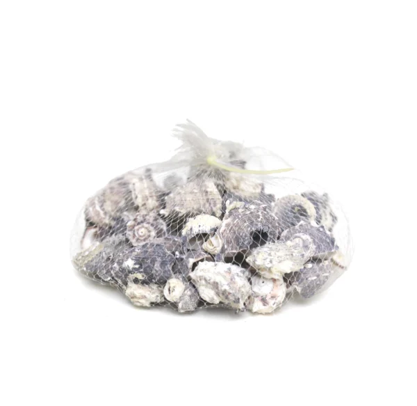 Sea Shells Bag - Image 1