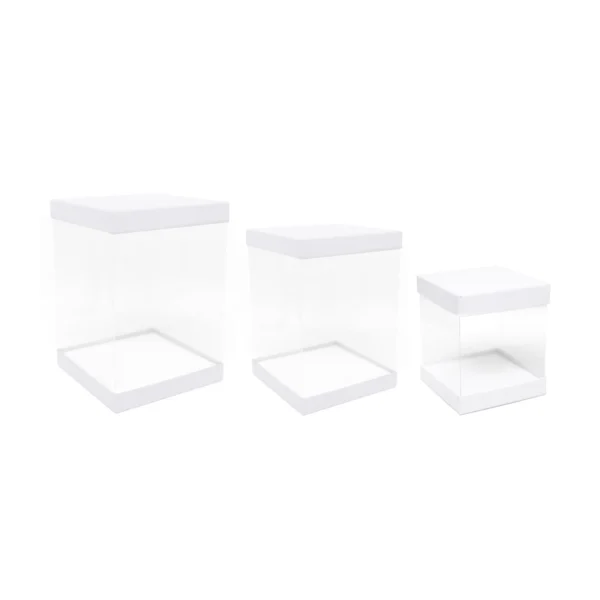 Carton Sides Mid PVC Box - Image 2