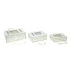Rectangle PVC Handle Carton Box - Image 2