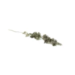 Glitter Leaf Cluster Decorative Sprig - Image 2