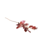 Glittered Leaf Stems - Image 2