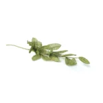 Glitter Leaf Stem Decorative Pick - Image 7