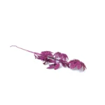 Shimmering Filigree Leaf Accent - Image 4