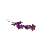 Shimmering Filigree Leaf Accent - Image 7
