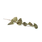 Colored Craft Leaves - Image 4