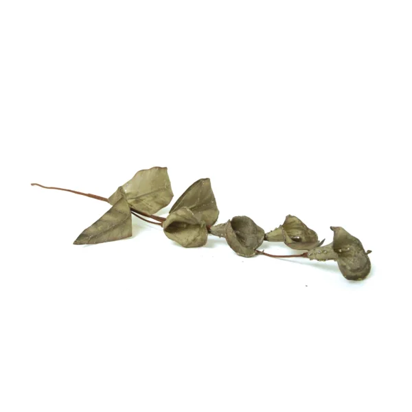 Colored Craft Leaves - Image 4