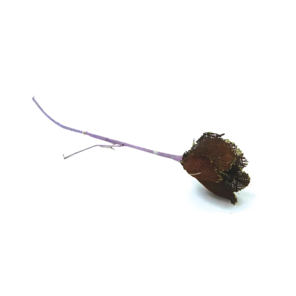 Rustic Woven Rose Pick - Image 7