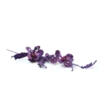Glitter Magnolia Stem - Image 2