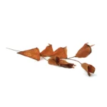 Colored Craft Leaves - Image 8
