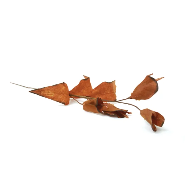 Colored Craft Leaves - Image 8