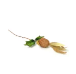 Glitter Bird Floral Pick - Image 3