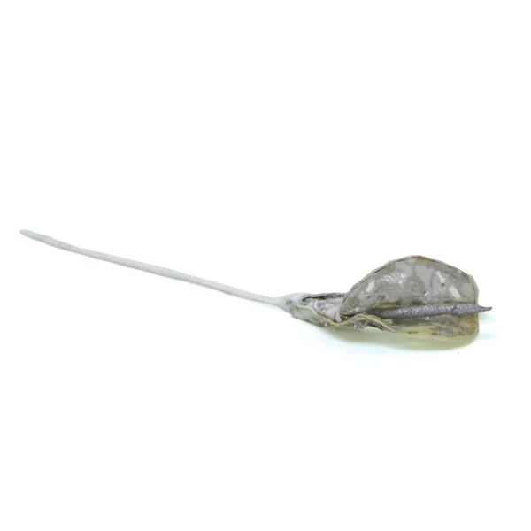 Metallic Foiled Bud Stem Accent - Image 10