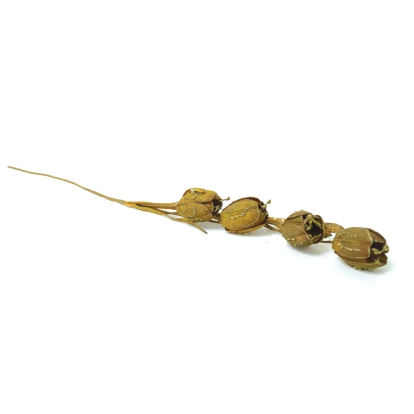 Glittered Colored Tulip Buds - Image 5