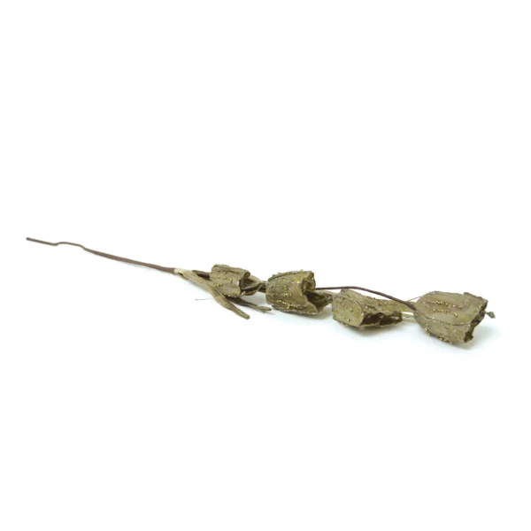 Glittered Colored Tulip Buds - Image 7