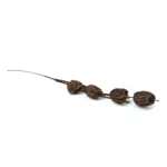 Glittered Colored Tulip Buds - Image 9