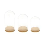 Cork Bottom Glass Dome Container