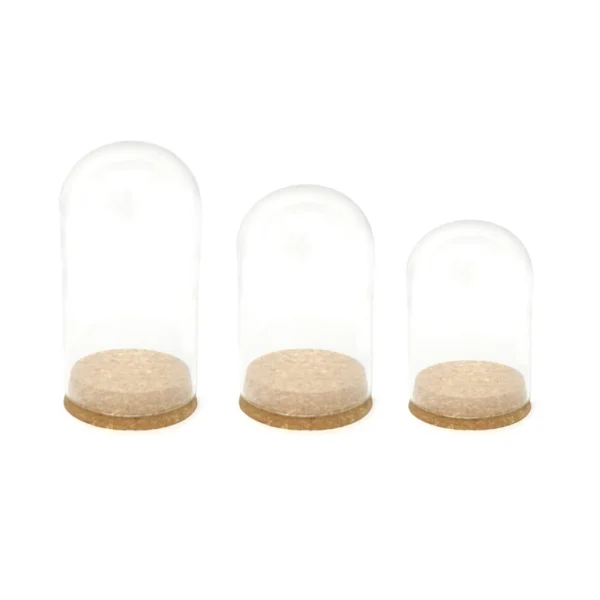 Cork Bottom Glass Dome Container