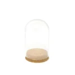 Cork Bottom Glass Dome Container - Image 2