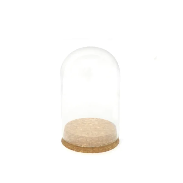 Cork Bottom Glass Dome Container - Image 2
