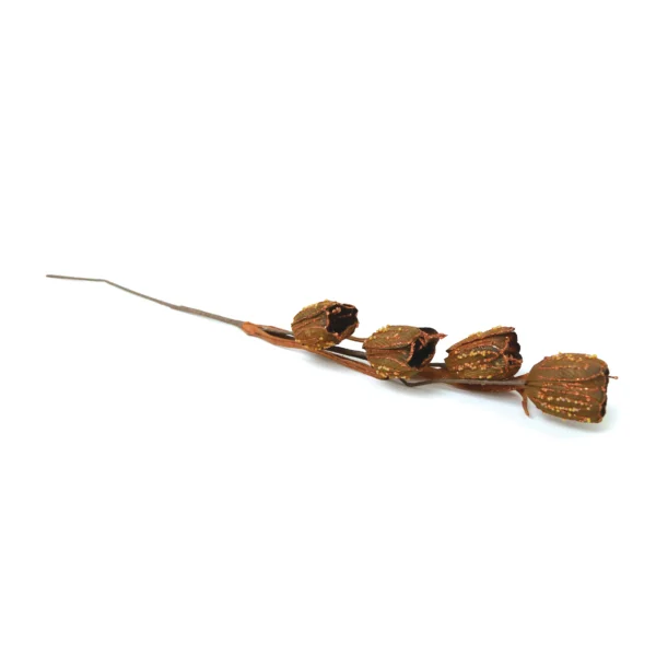 Glittered Colored Tulip Buds - Image 11