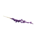 Glittered Daisy Flower Branch - Image 7