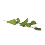 Colored Craft Leaves - Image 10
