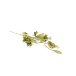 Glittered Bellflower Sprigs - Image 6