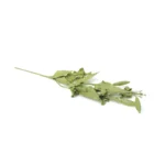 Glittered Bellflower Sprigs - Image 13