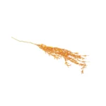 Frosted Glitter Cypress Pick - Image 8